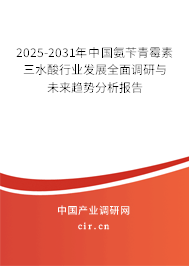2024-2030年中國(guó)氨芐青霉素三水酸行業(yè)發(fā)展全面調(diào)研與未來(lái)趨勢(shì)分析報(bào)告