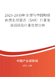 2025-2030年全球與中國(guó)地基合成孔徑雷達(dá)（SAR）行業(yè)發(fā)展調(diào)研及行業(yè)前景分析