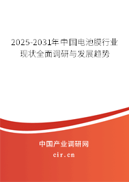 2025-2031年中國(guó)電池膜行業(yè)現(xiàn)狀全面調(diào)研與發(fā)展趨勢(shì)