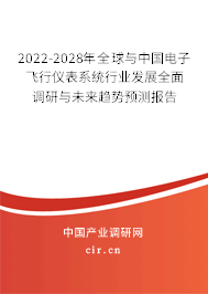 2022-2028年全球與中國電子飛行儀表系統(tǒng)行業(yè)發(fā)展全面調(diào)研與未來趨勢預(yù)測報告