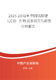 2025-2031年中國鈷酸鋰（LCO）市場調(diào)查研究與趨勢分析報(bào)告