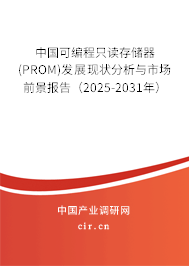 中國(guó)可編程只讀存儲(chǔ)器(PROM)發(fā)展現(xiàn)狀分析與市場(chǎng)前景報(bào)告(2025-2031年) 中國(guó)可編程只讀存儲(chǔ)器(PROM)發(fā)展現(xiàn)狀分析與市場(chǎng)前景報(bào)告(2025-2031年)