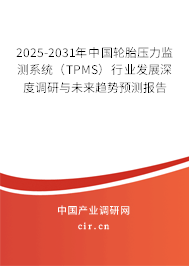 2025-2031年中國(guó)輪胎壓力監(jiān)測(cè)系統(tǒng)（TPMS）行業(yè)發(fā)展深度調(diào)研與未來(lái)趨勢(shì)預(yù)測(cè)報(bào)告