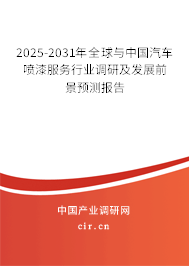 2025-2031年全球與中國汽車噴漆服務行業(yè)調研及發(fā)展前景預測報告