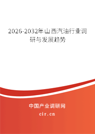 2026-2032年山西汽油行業(yè)調(diào)研與發(fā)展趨勢(shì) 2026-2032年山西汽油行業(yè)調(diào)研與發(fā)展趨勢(shì)