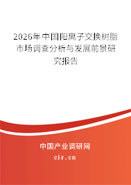 2026年中國(guó)陽(yáng)離子交換樹(shù)脂市場(chǎng)調(diào)查分析與發(fā)展前景研究報(bào)告