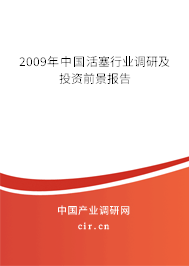 2009年中國活塞行業(yè)調(diào)研及投資前景報告 2009年中國活塞行業(yè)調(diào)研及投資前景報告