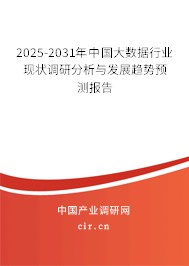 2025-2031年中國(guó)大數(shù)據(jù)行業(yè)現(xiàn)狀調(diào)研分析與發(fā)展趨勢(shì)預(yù)測(cè)報(bào)告