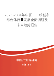 2025-2031年中國二三線城市綜合體行業(yè)發(fā)展全面調(diào)研及未來趨勢(shì)報(bào)告