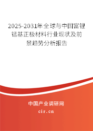 2025-2031年全球與中國富鋰錳基正極材料行業(yè)現(xiàn)狀及前景趨勢分析報告