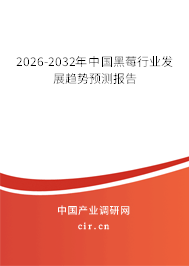 2026-2032年中國(guó)黑莓行業(yè)發(fā)展趨勢(shì)預(yù)測(cè)報(bào)告