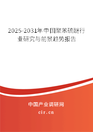2025-2031年中國聚苯硫醚行業(yè)研究與前景趨勢(shì)報(bào)告