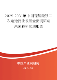 2025-2031年中國(guó)鋰磷酸鐵二次電池行業(yè)發(fā)展全面調(diào)研與未來(lái)趨勢(shì)預(yù)測(cè)報(bào)告