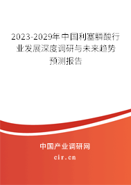 2023-2029年中國利塞膦酸行業(yè)發(fā)展深度調(diào)研與未來趨勢預(yù)測報告