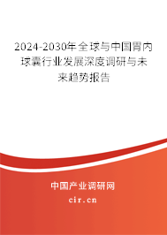 2024-2030年全球與中國胃內(nèi)球囊行業(yè)發(fā)展深度調(diào)研與未來趨勢報告