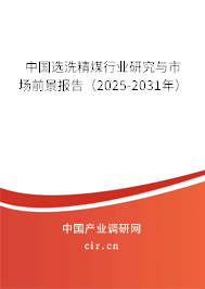 中國選洗精煤行業(yè)研究與市場前景報告(2025-2031年) 中國選洗精煤行業(yè)研究與市場前景報告(2025-2031年)