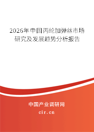 2026年中國丙綸加彈絲市場研究及發(fā)展趨勢分析報告