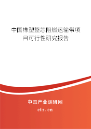 中國橡塑整芯阻燃運輸帶項目可行性研究報告