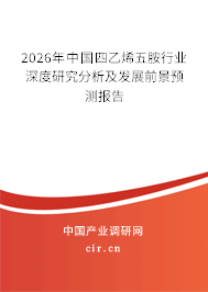 2024年中國(guó)四乙烯五胺行業(yè)深度研究分析及發(fā)展前景預(yù)測(cè)報(bào)告
