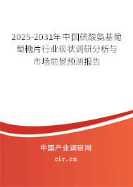 2025-2031年中國硫酸氨基葡萄糖片行業(yè)現(xiàn)狀調(diào)研分析與市場前景預(yù)測報告