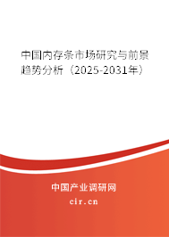 中國內存條市場研究與前景趨勢分析(2025-2031年) 中國內存條市場研究與前景趨勢分析(2025-2031年)