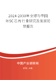 2024-2030年全球與中國RISC芯片行業(yè)研究及發(fā)展前景報(bào)告