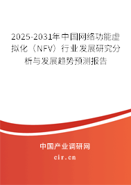2025-2031年中國網(wǎng)絡(luò)功能虛擬化（NFV）行業(yè)發(fā)展研究分析與發(fā)展趨勢預(yù)測報告