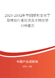 2025-2031年中國星形支化丁基橡膠行業(yè)現(xiàn)狀及市場前景分析報告 2025-2031年中國星形支化丁基橡膠行業(yè)現(xiàn)狀及市場前景分析報告