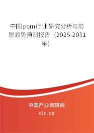 中國pom行業(yè)研究分析與前景趨勢預測報告(2025-2031年) 中國pom行業(yè)研究分析與前景趨勢預測報告(2025-2031年)