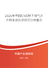 2026年中國CNG地下儲氣井市場發(fā)展現(xiàn)狀研究分析報(bào)告 2026年中國CNG地下儲氣井市場發(fā)展現(xiàn)狀研究分析報(bào)告
