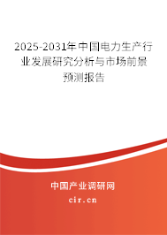 2025-2031年中國(guó)電力生產(chǎn)行業(yè)發(fā)展研究分析與市場(chǎng)前景預(yù)測(cè)報(bào)告 2025-2031年中國(guó)電力生產(chǎn)行業(yè)發(fā)展研究分析與市場(chǎng)前景預(yù)測(cè)報(bào)告