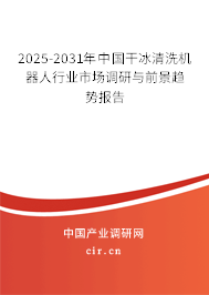 2025-2031年中國干冰清洗機(jī)器人行業(yè)市場調(diào)研與前景趨勢報(bào)告