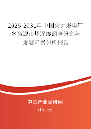 2025-2031年中國火力發(fā)電廠水資源市場深度調(diào)查研究與發(fā)展前景分析報告