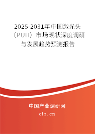 2025-2031年中國激光頭（PUH）市場現(xiàn)狀深度調研與發(fā)展趨勢預測報告