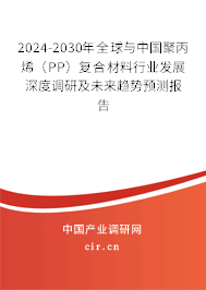 2024-2030年全球與中國聚丙烯（PP）復(fù)合材料行業(yè)發(fā)展深度調(diào)研及未來趨勢預(yù)測報告