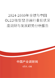 2024-2030年全球與中國OLED微型顯示器行業(yè)現(xiàn)狀深度調(diào)研與發(fā)展趨勢分析報告