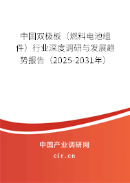 中國雙極板（燃料電池組件）行業(yè)深度調(diào)研與發(fā)展趨勢報告（2025-2031年）