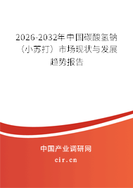 2026-2032年中國(guó)碳酸氫鈉(小蘇打)市場(chǎng)現(xiàn)狀與發(fā)展趨勢(shì)報(bào)告 2026-2032年中國(guó)碳酸氫鈉(小蘇打)市場(chǎng)現(xiàn)狀與發(fā)展趨勢(shì)報(bào)告