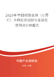 2025年中國(guó)碳酸氫鈉（小蘇打）市場(chǎng)現(xiàn)狀調(diào)研與發(fā)展前景預(yù)測(cè)分析報(bào)告
