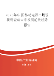 2025年中國移動(dòng)電源市場現(xiàn)狀調(diào)查與未來發(fā)展前景趨勢報(bào)告