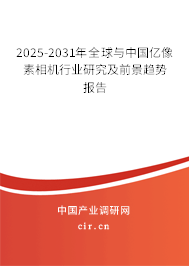 2025-2031年全球與中國億像素相機行業(yè)研究及前景趨勢報告