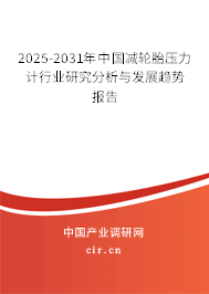 2023-2029年中國(guó)減輪胎壓力計(jì)行業(yè)研究分析與發(fā)展趨勢(shì)報(bào)告