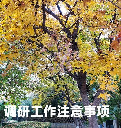 調(diào)研工作注意事項