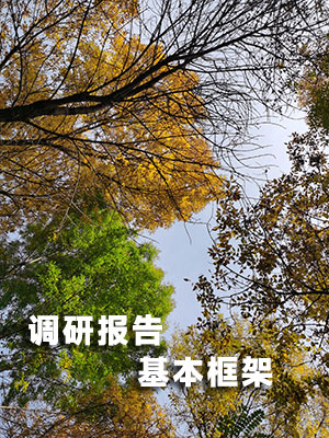 調(diào)研報告的基本框架